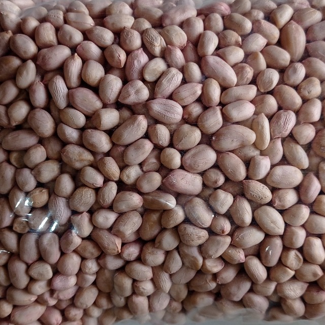 SGT Fried Gram Dal 5kg