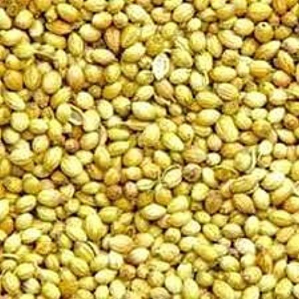 Mustard / Kadugu 100 g